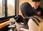  BHS Bridges Students Learn About Microscopes